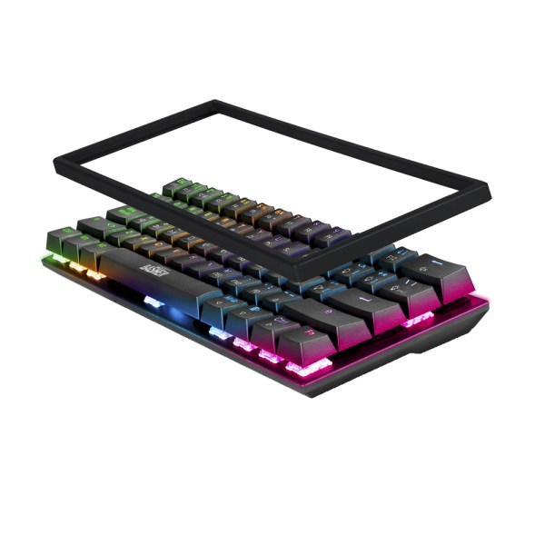 BASH-1002-3