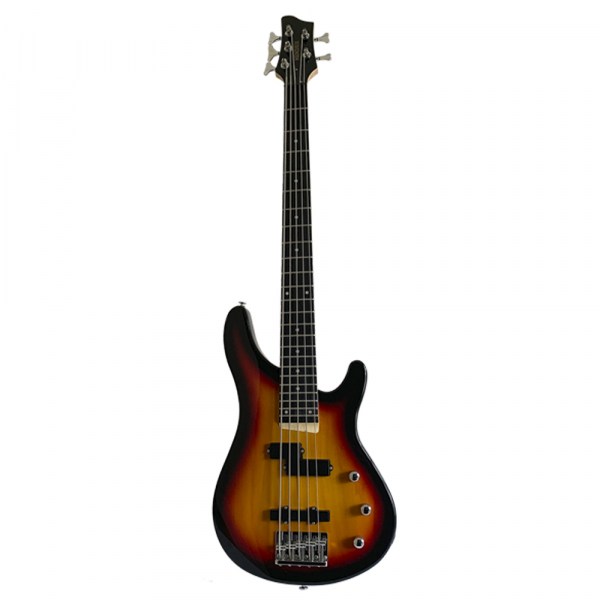 BH-EBS200-24-5BS-1