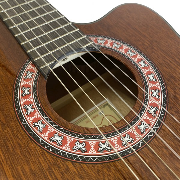 GV-AC309CE-2