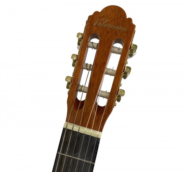 GV-AC309CE-4