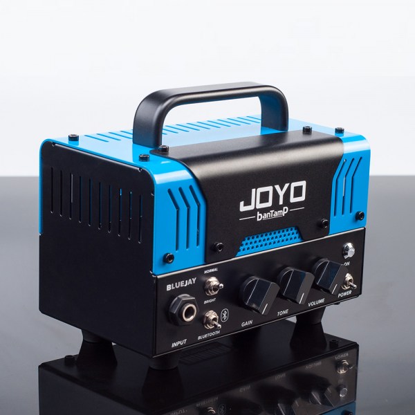 JOY-BLUE-JAY-3