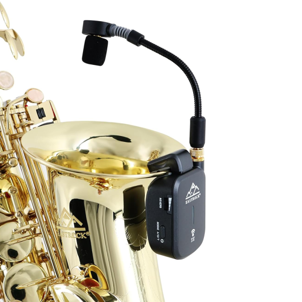 MIC-JDSWS-10-2